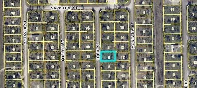 1850 Tulip St Lot 5