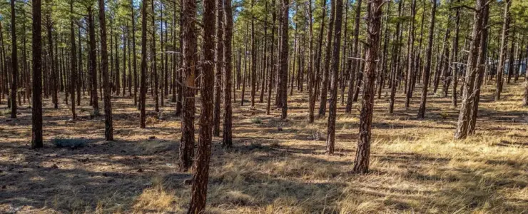 Wilderness Dr Lot 036J