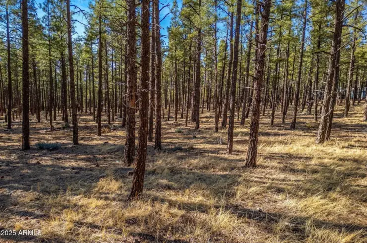 Wilderness Dr Lot 036J