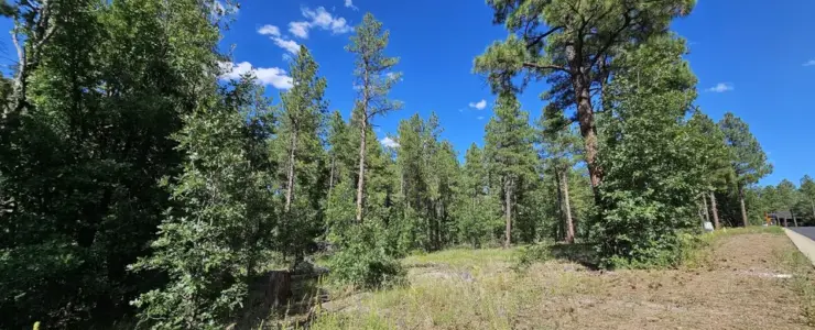 1390 W Big Springs Trl