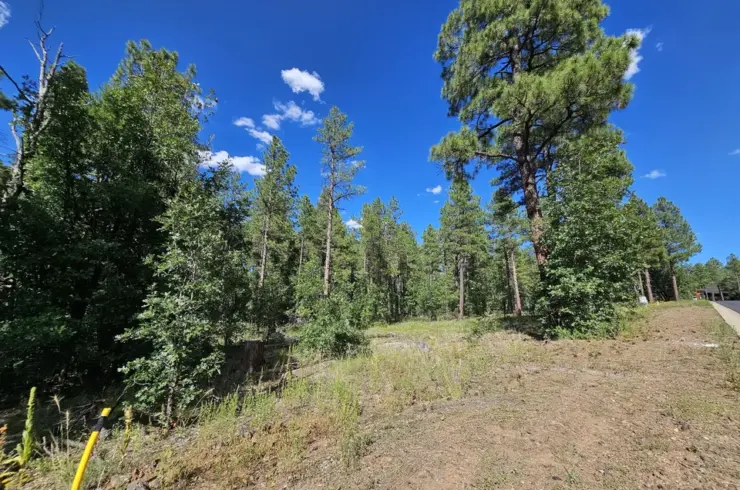 1390 W Big Springs Trl
