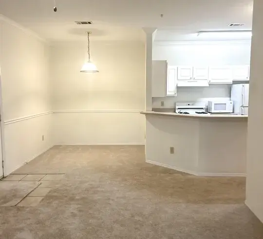 13810 Sutton Dr N Unit 717