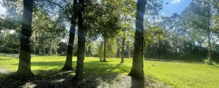 Maude Rd