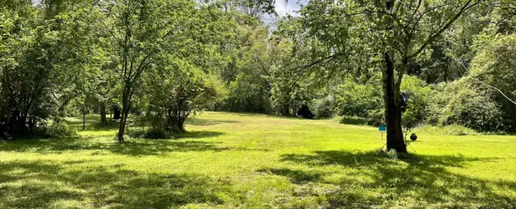 10334 Lilamae Ln Unit 1