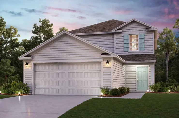 24 Brazil Nut Cir
