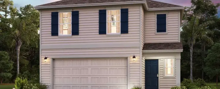 20 Brazil Nut Cir